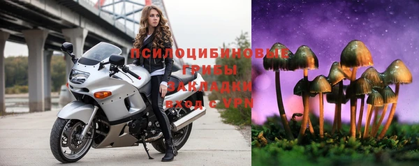 a pvp Алзамай
