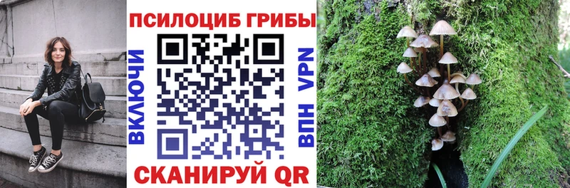 Галлюциногенные грибы Psilocybe  Ишимбай 